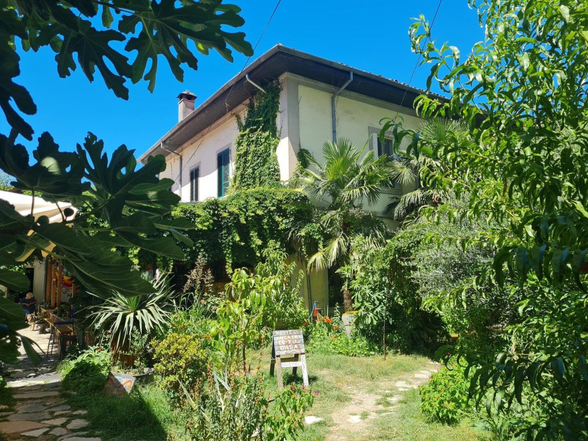 Mi Casa Es Tu Casa - Shkodra Backpackers Hostel ภายนอก รูปภาพ