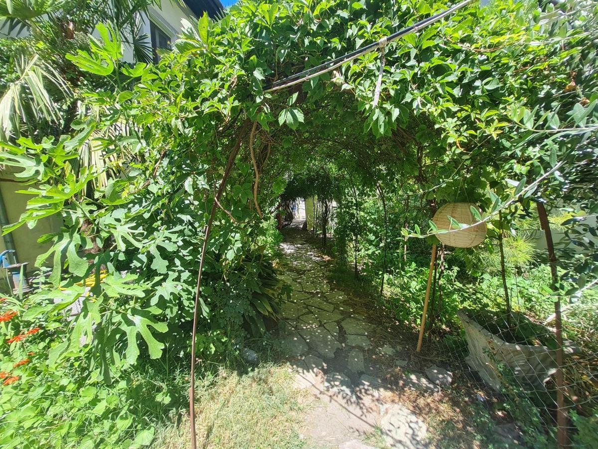 Mi Casa Es Tu Casa - Shkodra Backpackers Hostel ภายนอก รูปภาพ